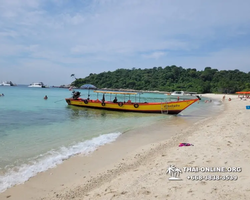 Pattaya Bay Cruise sea and island tour in Pattaya Thailand - photo 299