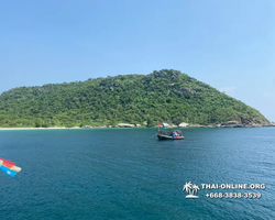 Pattaya Bay Cruise sea and island tour in Pattaya Thailand - photo 274