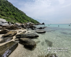 Pattaya Bay Cruise sea and island tour in Pattaya Thailand - photo 255