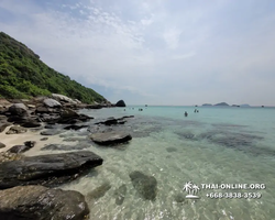 Pattaya Bay Cruise sea and island tour in Pattaya Thailand - photo 293