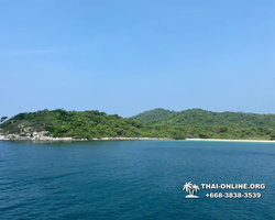 Pattaya Bay Cruise sea and island tour in Pattaya Thailand - photo 333