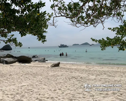 Pattaya Bay Cruise sea and island tour in Pattaya Thailand - photo 239