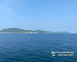 Pattaya Bay Cruise sea and island tour in Pattaya Thailand - photo 328