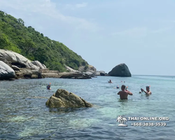 Pattaya Bay Cruise sea and island tour in Pattaya Thailand - photo 261