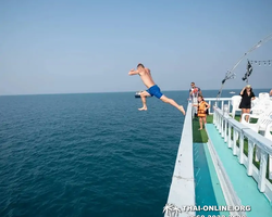 Pattaya Bay Cruise sea and island tour in Pattaya Thailand - photo 561