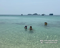 Pattaya Bay Cruise sea and island tour in Pattaya Thailand - photo 345