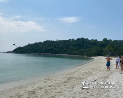 Pattaya Bay Cruise sea and island tour in Pattaya Thailand - photo 316