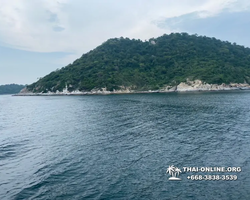 Pattaya Bay Cruise sea and island tour in Pattaya Thailand - photo 245