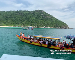 Pattaya Bay Cruise sea and island tour in Pattaya Thailand - photo 244