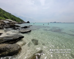 Pattaya Bay Cruise sea and island tour in Pattaya Thailand - photo 279