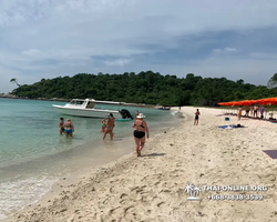 Pattaya Bay Cruise sea and island tour in Pattaya Thailand - photo 250