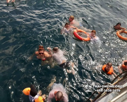 Pattaya Bay Cruise sea and island tour in Pattaya Thailand - photo 251