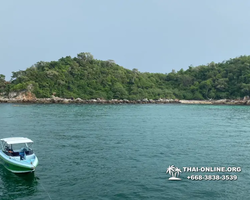 Pattaya Bay Cruise sea and island tour in Pattaya Thailand - photo 269