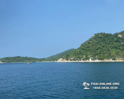 Pattaya Bay Cruise sea and island tour in Pattaya Thailand - photo 311