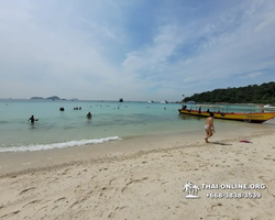 Pattaya Bay Cruise sea and island tour in Pattaya Thailand - photo 329