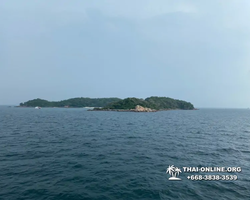 Pattaya Bay Cruise sea and island tour in Pattaya Thailand - photo 358