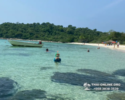 Pattaya Bay Cruise sea and island tour in Pattaya Thailand - photo 256