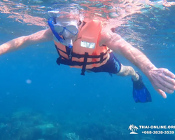 Speedboat trip Ko Luem, Ko Sak, Ko Krok, Ko Larn Pattaya photo 201