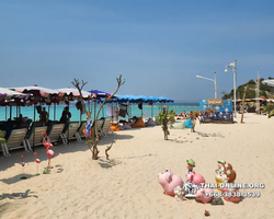 Sea hopping tour Tropicana from Pattaya to Koh Lan island - photo 29