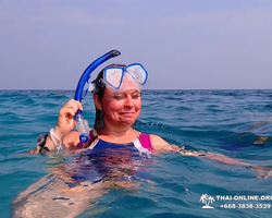 Speedboat trip Ko Luem, Ko Sak, Ko Krok, Ko Larn Pattaya photo 163