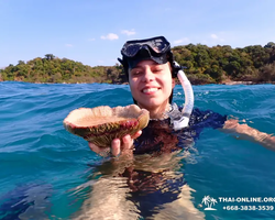 Speedboat trip Ko Luem, Ko Sak, Ko Krok, Ko Larn Pattaya photo 130