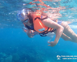 Speedboat trip Ko Luem, Ko Sak, Ko Krok, Ko Larn Pattaya photo 167