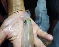Squid sea fishing in night-time Pattaya Thailand - tour photo 62