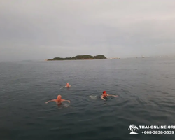 Squid sea fishing in night-time Pattaya Thailand - tour photo 70