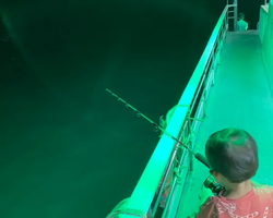 Squid sea fishing in night-time Pattaya Thailand - tour photo 41