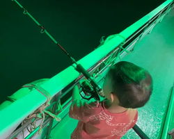 Squid sea fishing in night-time Pattaya Thailand - tour photo 14