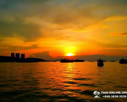 Squid sea fishing in night-time Pattaya Thailand - tour photo 39