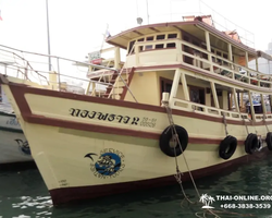 Squid sea fishing in night-time Pattaya Thailand - tour photo 16