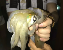 Squid sea fishing in night-time Pattaya Thailand - tour photo 50