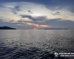 Squid sea fishing in night-time Pattaya Thailand - tour photo 3