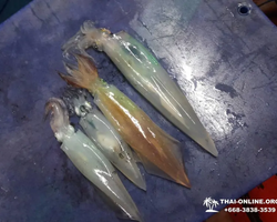 Squid sea fishing in night-time Pattaya Thailand - tour photo 6