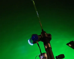 Squid sea fishing in night-time Pattaya Thailand - tour photo 68