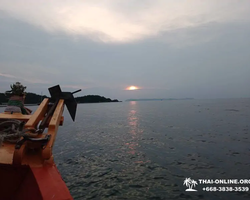 Squid sea fishing in night-time Pattaya Thailand - tour photo 53