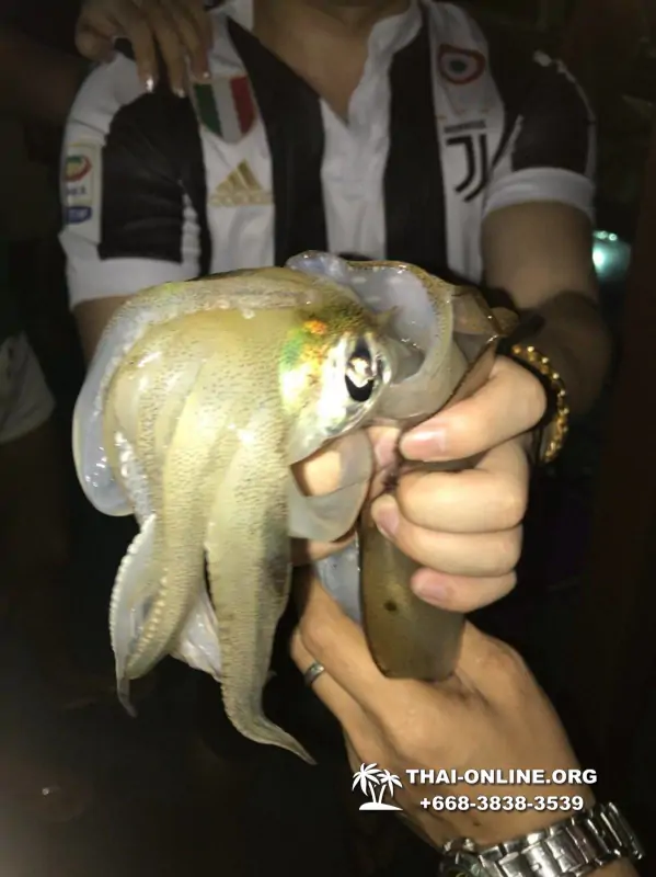 Night-time sea fishing for squids in Pattaya Bay Thailand - photo 7