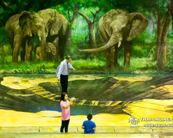 3D Art in Paradise gallery in Pattaya Thailand 7 Countries photo 159