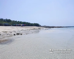 Madagaskar Light speedboat trip from Pattaya to Koh Phai - photo 624