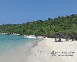 Madagaskar Light Pattaya one day sea tour to Koh Phai - picture 707