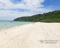 Madagaskar Light speedboat trip from Pattaya to Koh Phai - photo 653