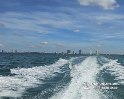 Madagaskar Light speedboat trip from Pattaya to Koh Phai - photo 174