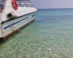 Madagaskar Light speedboat trip from Pattaya to Koh Phai - photo 152