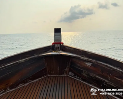 Bryde's whale photo hunt in Thailand Pattaya - tour picture 17