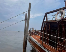 Bryde's whale photo hunt in Thailand Pattaya - tour picture 56