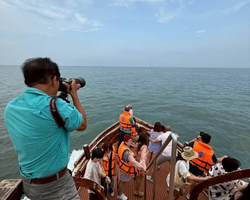 Bryde's whale photo hunt excursion from Pattaya - picture 36