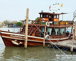 Bryde's whale photo hunt in Thailand Pattaya - tour picture 2