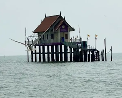 Bryde's whale photo hunt in Thailand Pattaya - tour picture 12