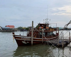 Bryde's whale photo hunt excursion from Pattaya - picture 41